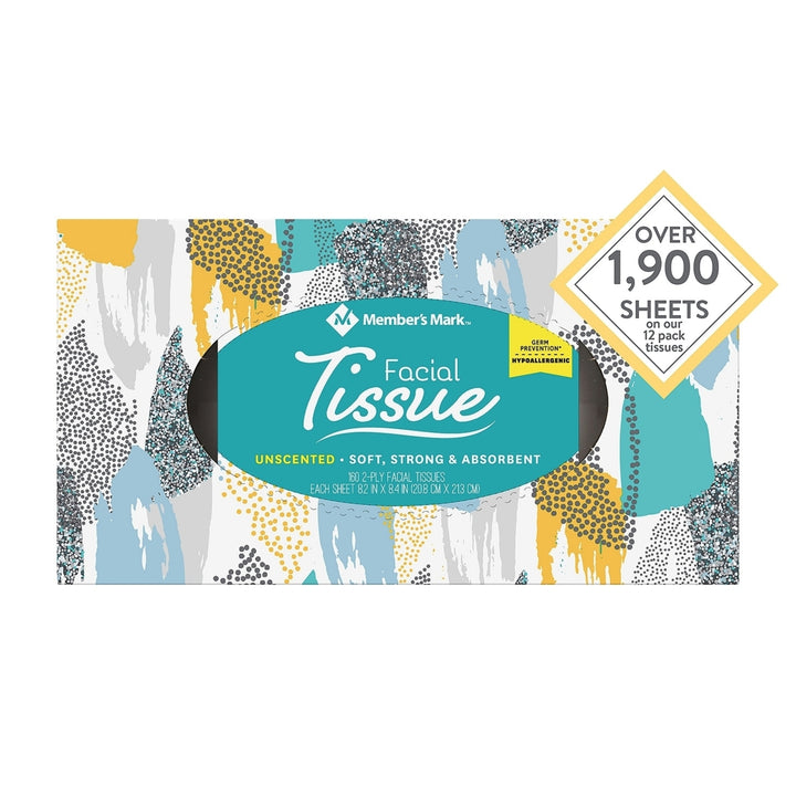 Members Mark 2-Ply Unscented Facial Tissue (12 Count,160 tissues per box) Image 4