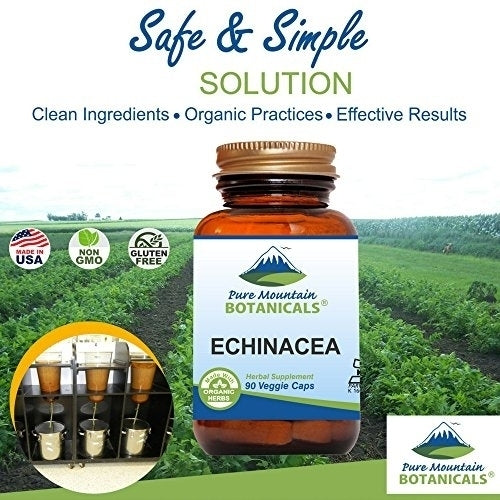 Echinacea Capsules - 90 Kosher Vegan Caps with 420mg Organic Echinacea Root Image 2