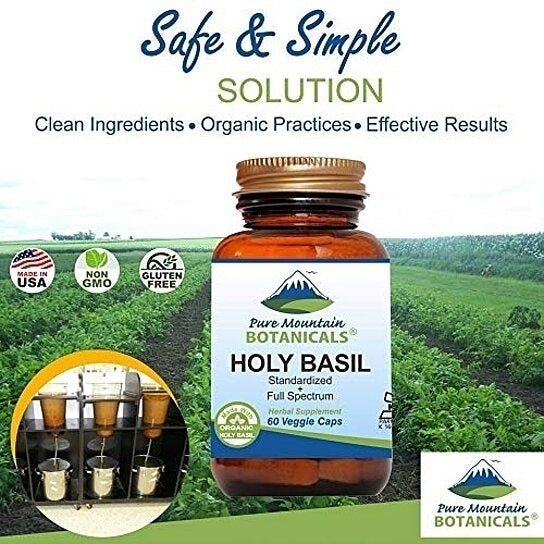 Holy Basil Capsules - 60 Kosher Vegan Caps with 450mg Organic Holy Basil Tulsi and Holy Basil Extract from India Image 1