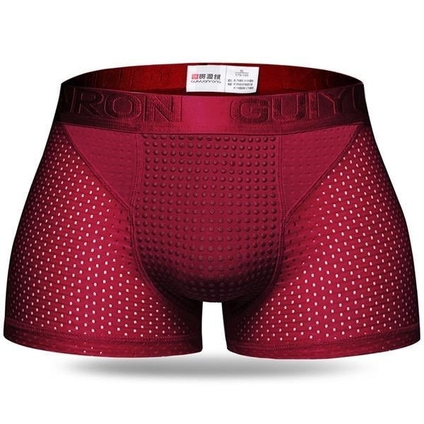 Mens Ice Silk Mesh Magnetic Therapy Health Care Underwear Image 1