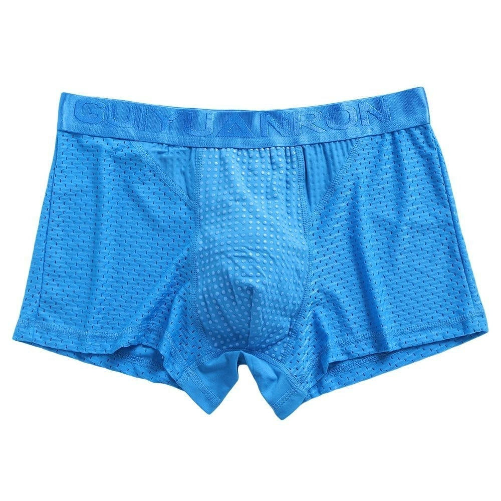 Mens Ice Silk Mesh Magnetic Therapy Health Care Underwear Image 10