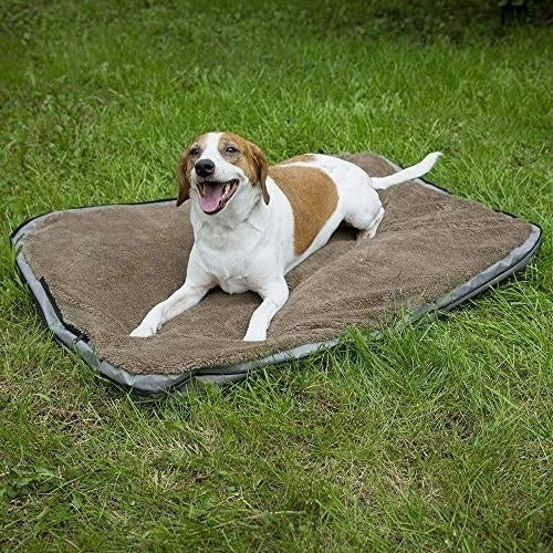 Sport Pet Designs Waterproof Travel Pet BedPortable Pet Bed with ZipperSmall24"x17" Image 4
