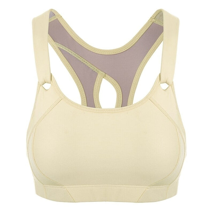 Womens Seamless High Impact Quick Drying Full Coverage Padded Sports Bra Image 1