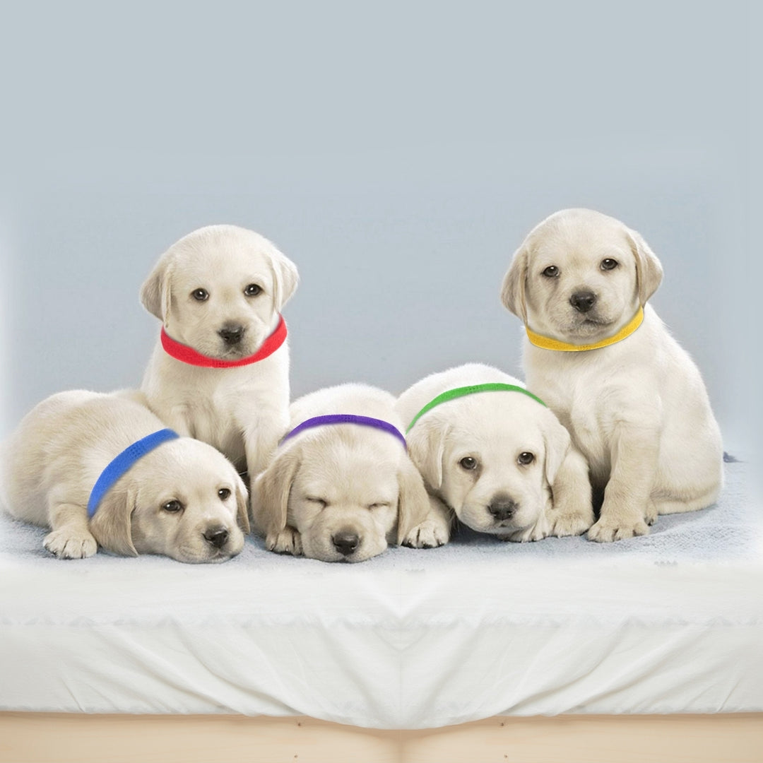 12 Colors Whelping Puppy ID Collars Adjustable Double Sided Pet ID Bands Image 7