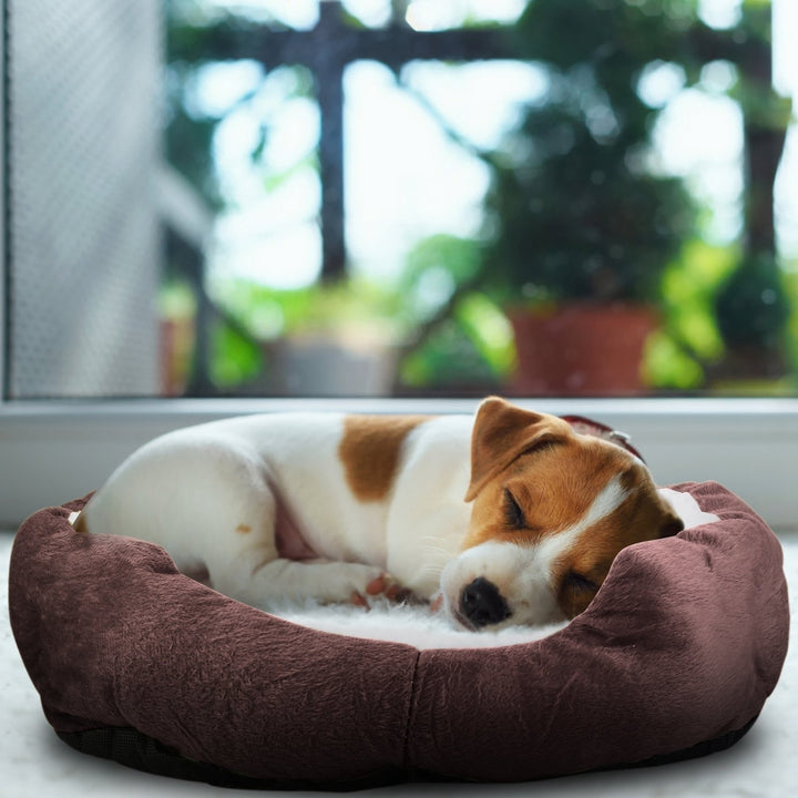 Pet Dog Bed Soft Warm Fleece Puppy Cat Bed Dog Nest Sofa Bed Cushion Image 8