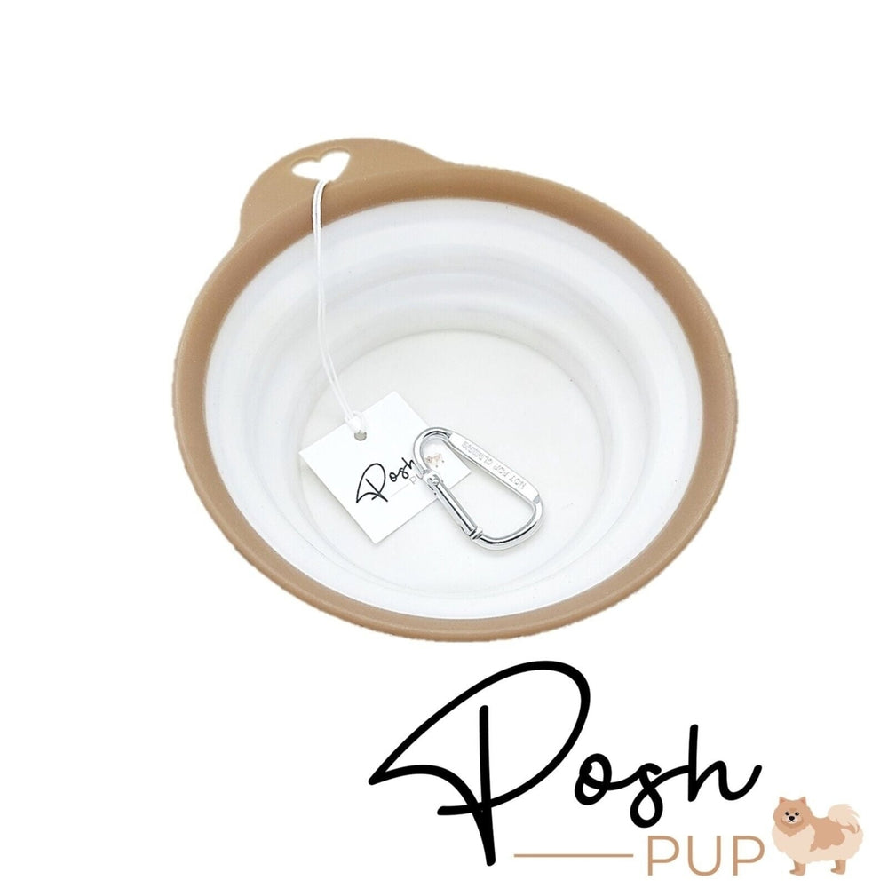 4.5" White with Brown Rim Silicone Portable Foldable Collapsible Pet Bowl Image 2