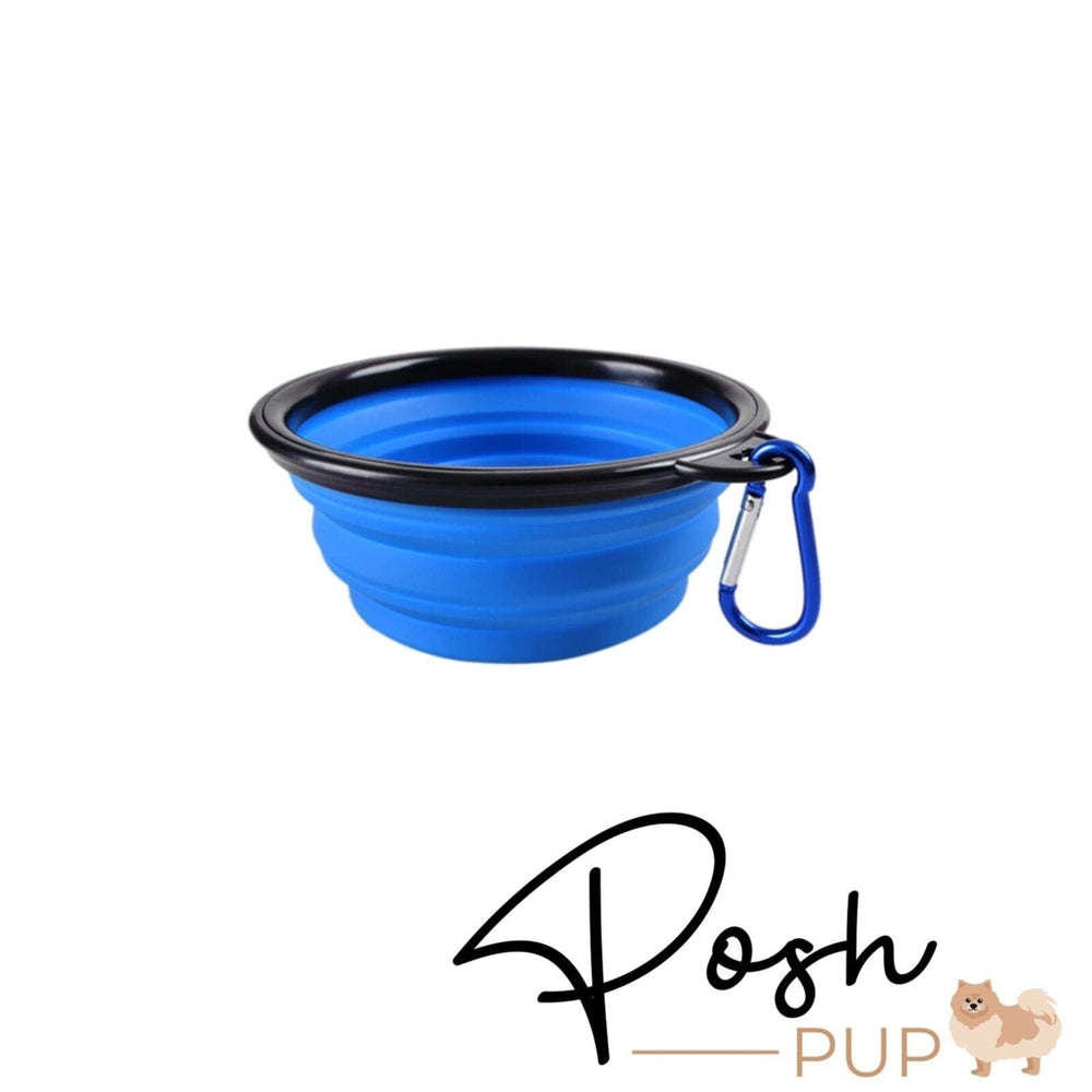 5" Blue Silicone Portable Foldable Collapsible Pet Bowl by Posh Pup Image 2