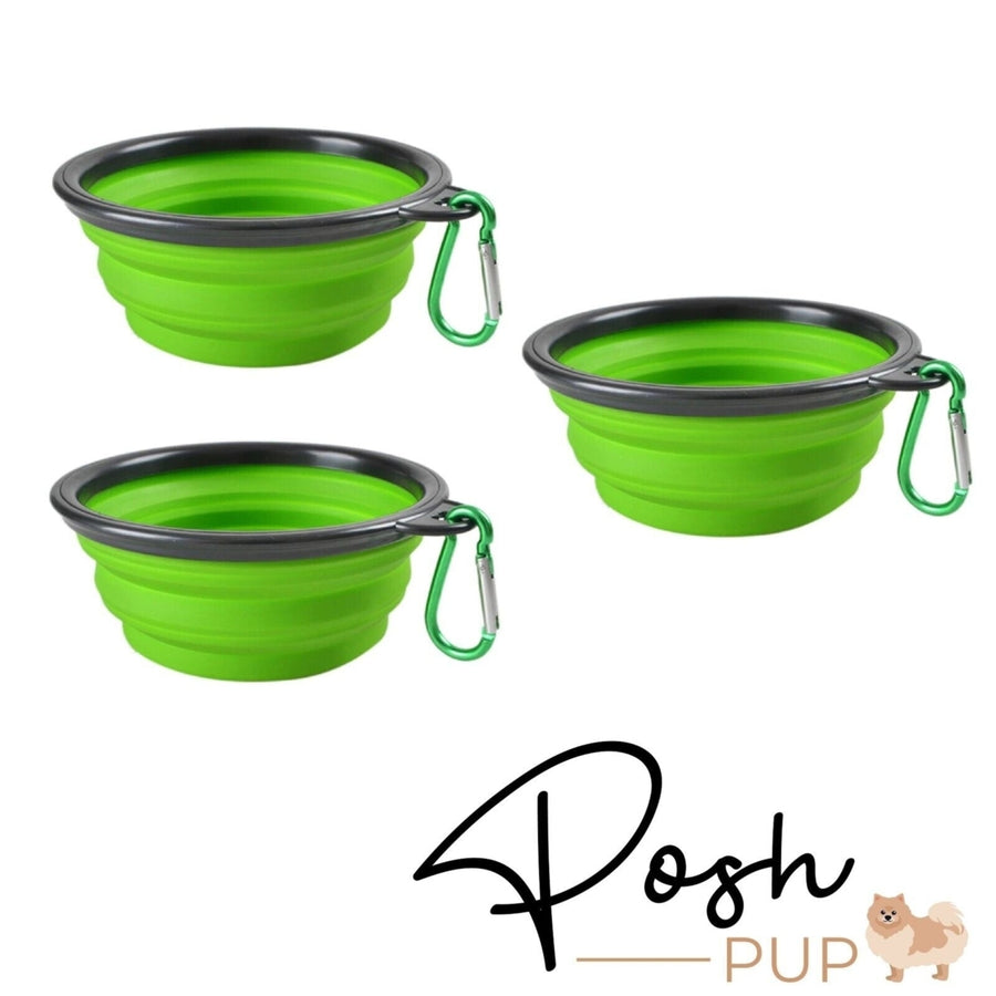 5" Green Silicone Portable Foldable Collapsible Pet Bowl by Posh Pup Image 1
