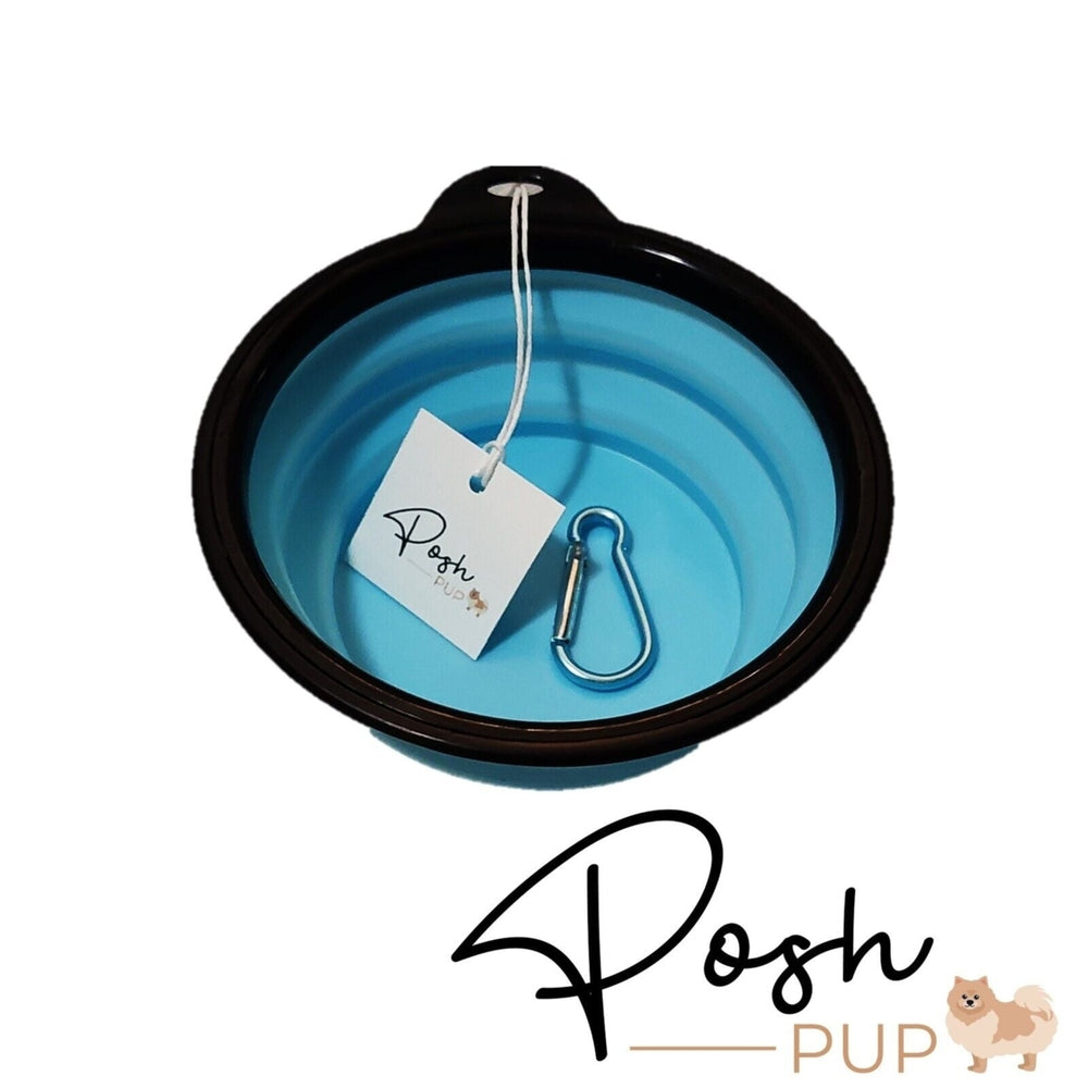 5" Light Blue Silicone Portable Foldable Collapsible Pet Bowl by Posh Pup Image 2