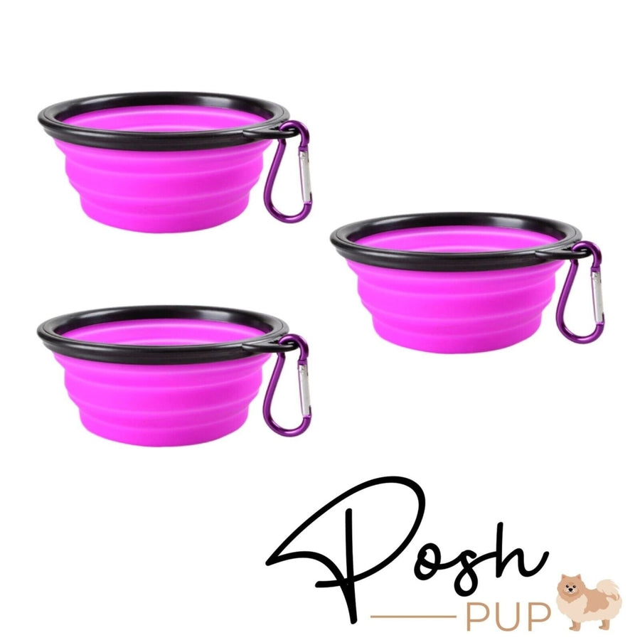 5" Pink Silicone Portable Foldable Collapsible Pet Bowl by Posh Pup Image 1