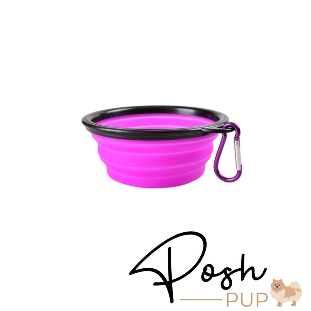5" Pink Silicone Portable Foldable Collapsible Pet Bowl by Posh Pup Image 2