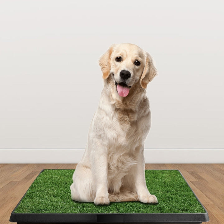Dog Potty Training Artificial Grass Pad Pet Cat Toilet Trainer Mat Puppy Loo Tray Turf Image 8