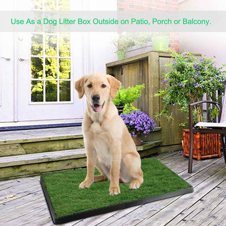 Dog Potty Training Artificial Grass Pad Pet Cat Toilet Trainer Mat Puppy Loo Tray Turf Image 9
