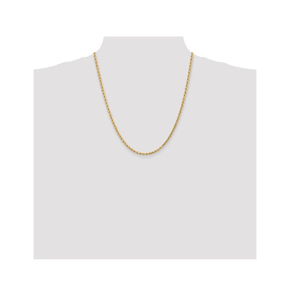 14K Yellow Gold Diamond-Cut Rope Chain Necklace 22 Inches (3.00 mm) Image 2