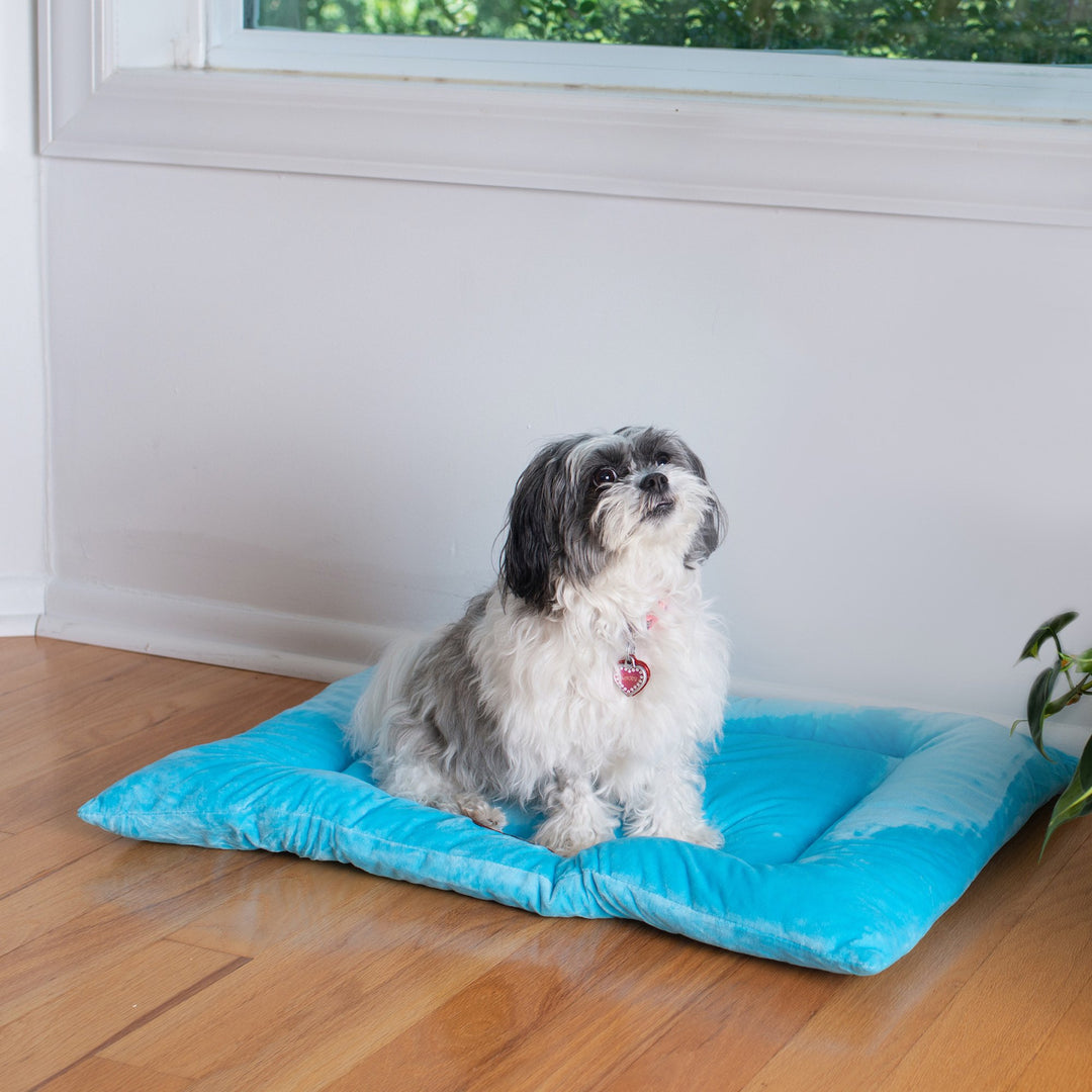 Armarkat Model M01CTL-M Medium Pet Bed Mat with Poly Fill Cushion in Sky Blue Image 4
