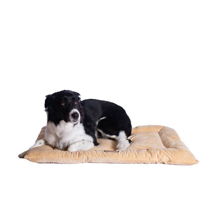 Armarkat Model M01CMH-L Large Pet Bed Mat with Poly Fill Cushion in Beige Image 4