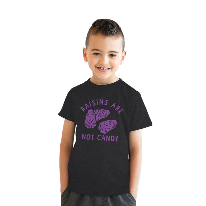 Youth Raisins Are Not Candy T Shirt Funny Healthy Snack Joke Tee For Kids Image 4