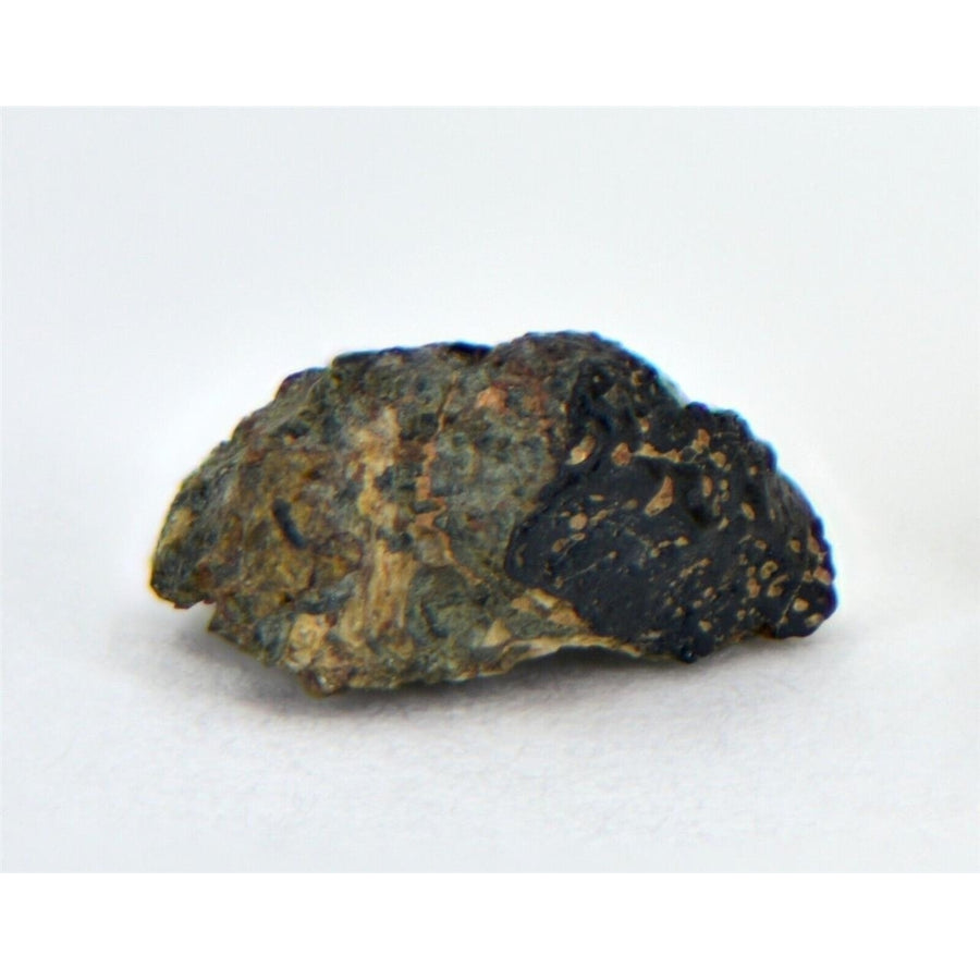 0.16g NAKHLITE Martian Meteorite NWA 13669 - TOP METEORITE Image 1