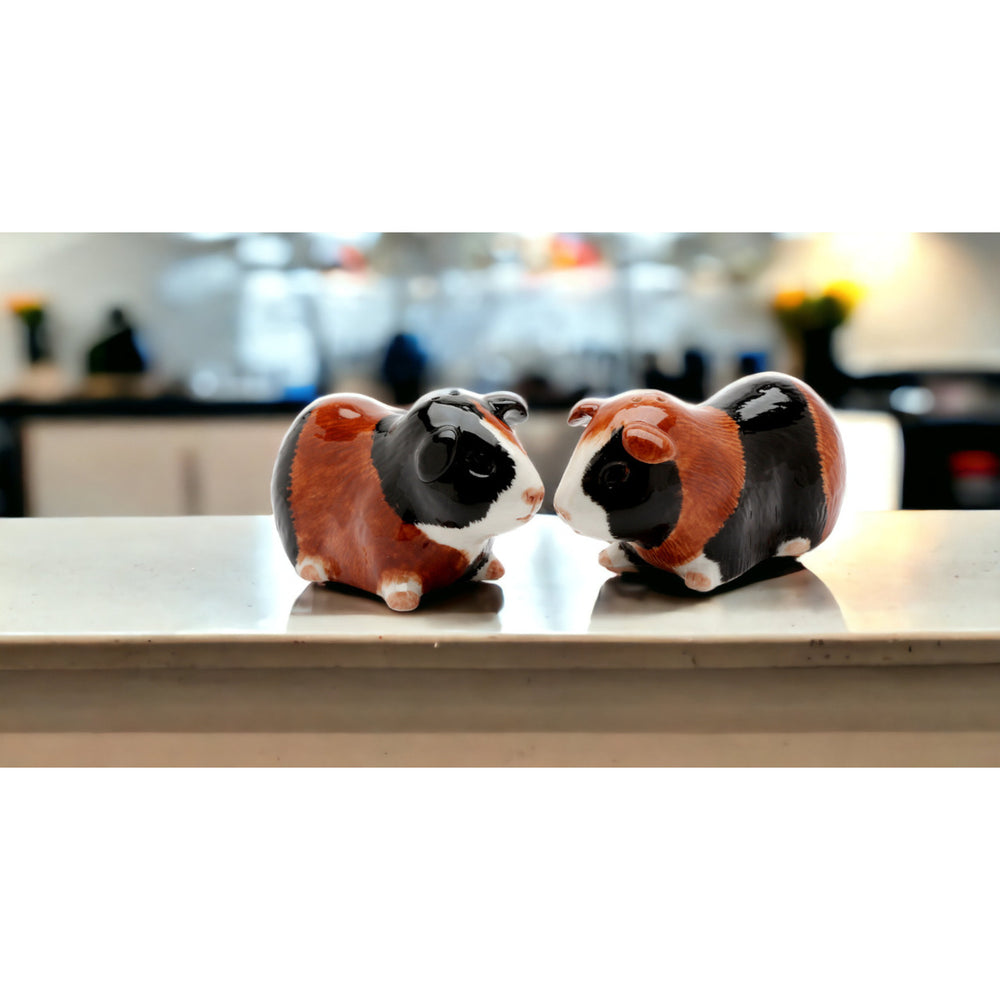 Hand Painted Ceramic Guinea Pig Salt and Pepper ShakersHome DcorKitchen Dcor Image 2