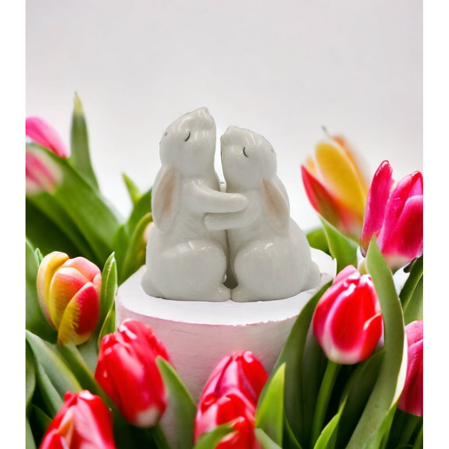 Ceramic Easter Bunny Rabbit Couple Salt and Pepper ShakersHome DcorKitchen DcorSpring Dcor Image 1