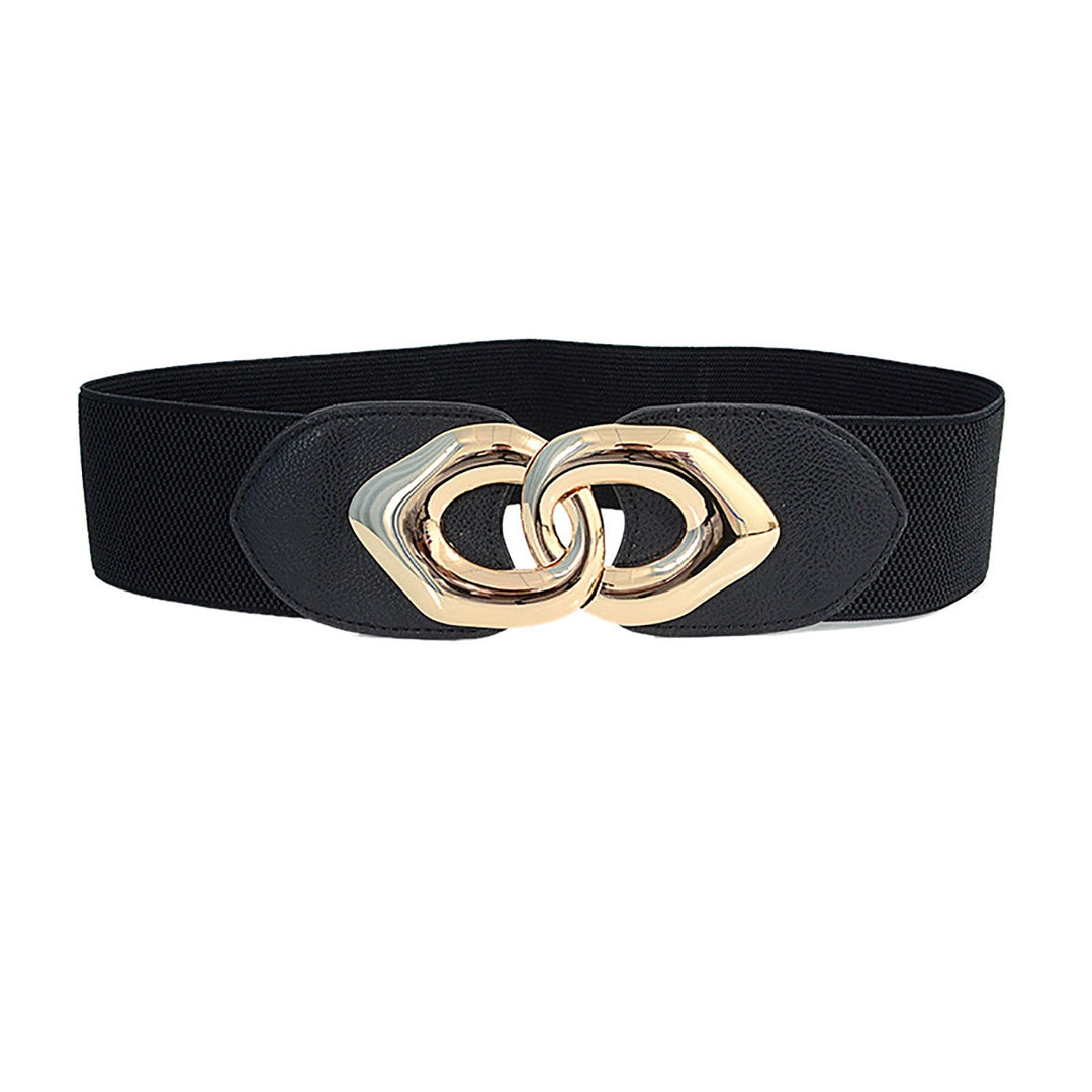 Fashion Belt Fit Wild Exquisite Everyday Wear Accessory Wide Elastic Waist Belt for Date Image 4