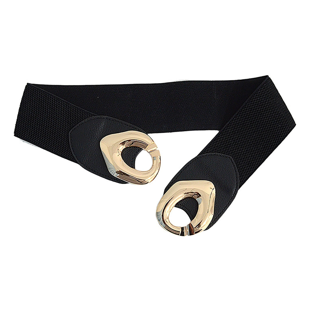 Fashion Belt Fit Wild Exquisite Everyday Wear Accessory Wide Elastic Waist Belt for Date Image 9