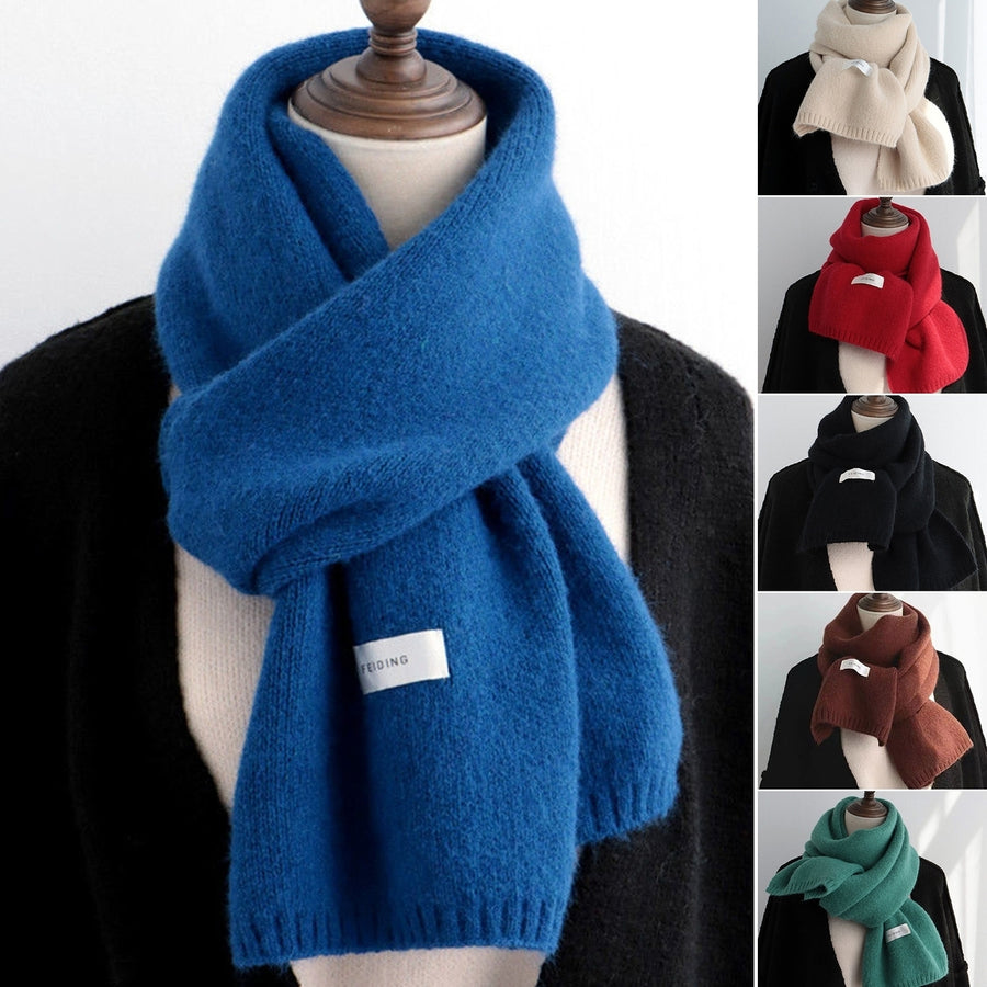 Women Scarf Solid Color Labeling Thickened Long Stretch Imitation Cashmere Windproof Knitted Neck Scarf Streetwear Image 1