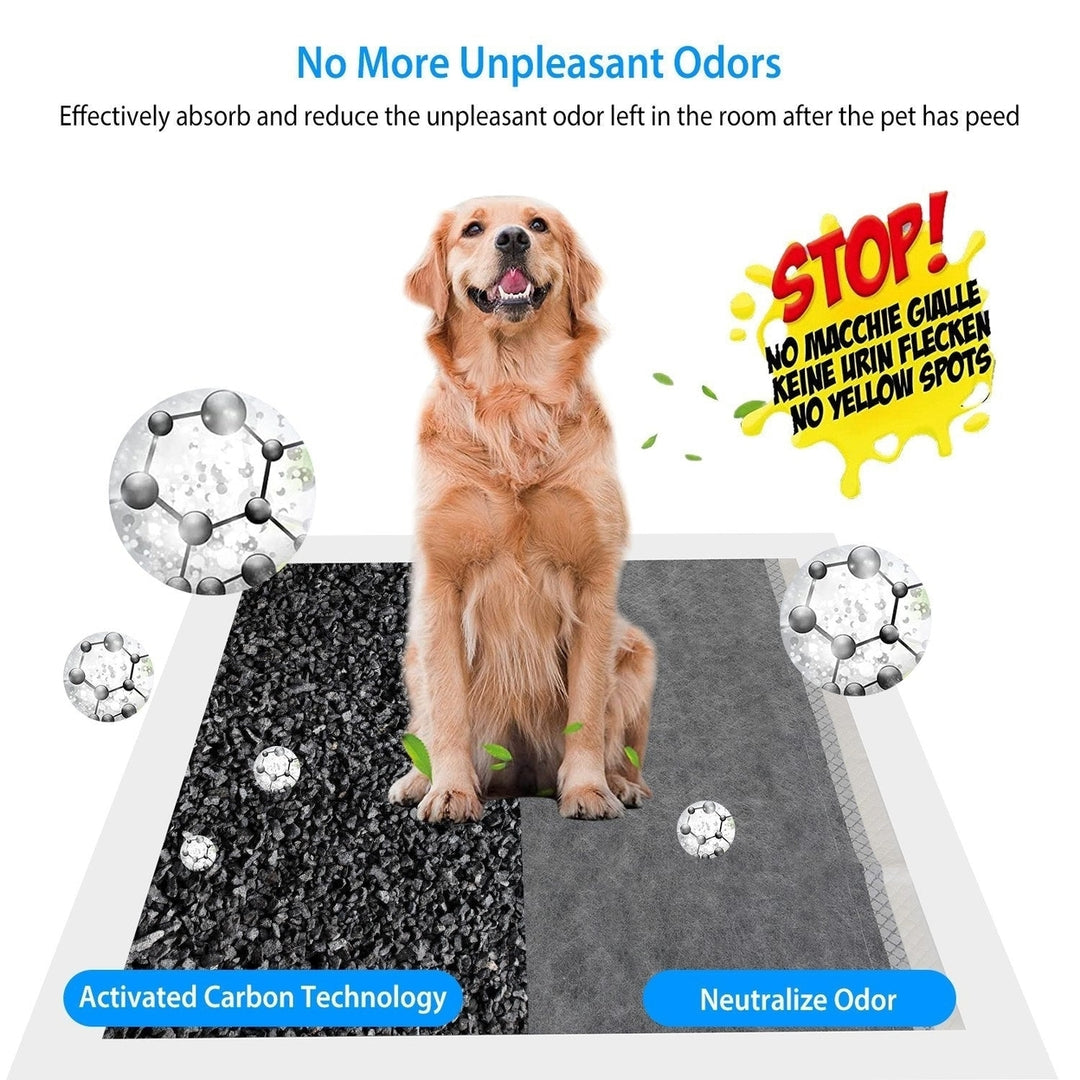 40Pcs Dog Pee Training Pads Super Absorbent Leak-proof Quick Dry Pet Image 3