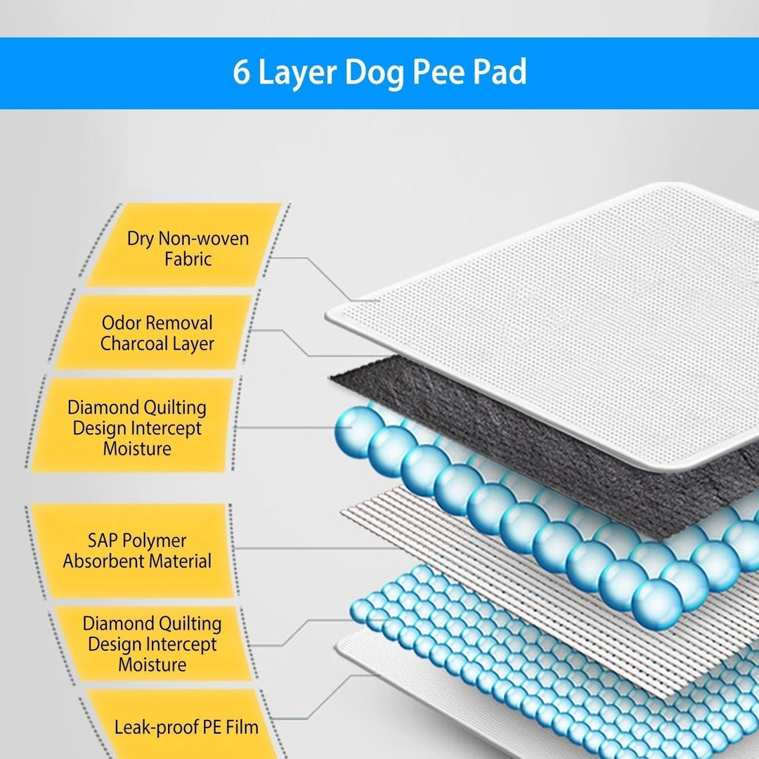40Pcs Dog Pee Training Pads Super Absorbent Leak-proof Quick Dry Pet Image 4