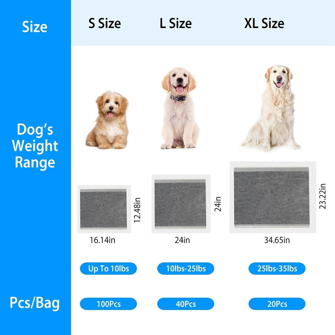 40Pcs Dog Pee Training Pads Super Absorbent Leak-proof Quick Dry Pet Image 7