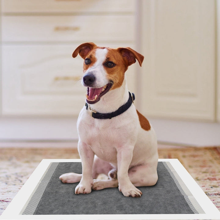 40Pcs Dog Pee Training Pads Super Absorbent Leak-proof Quick Dry Pet Image 9