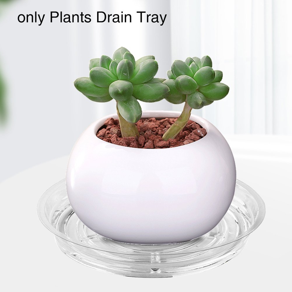 10 Pcs Planter Tray Leak-proof Reusable BPA Free Promote Growth Plant Pot Saucer Gardening Tools Image 4