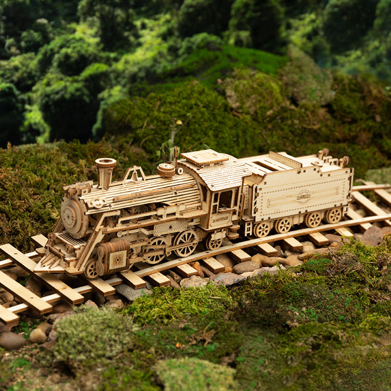 3D Wooden Puzzle Prime Steam Express Image 2
