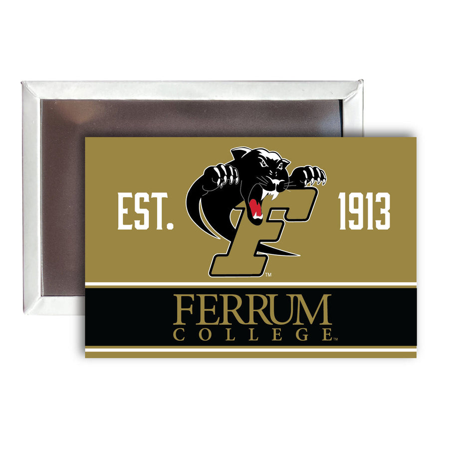 Ferrum College 2x3-Inch NCAA Vibrant Collegiate Fridge Magnet Image 1
