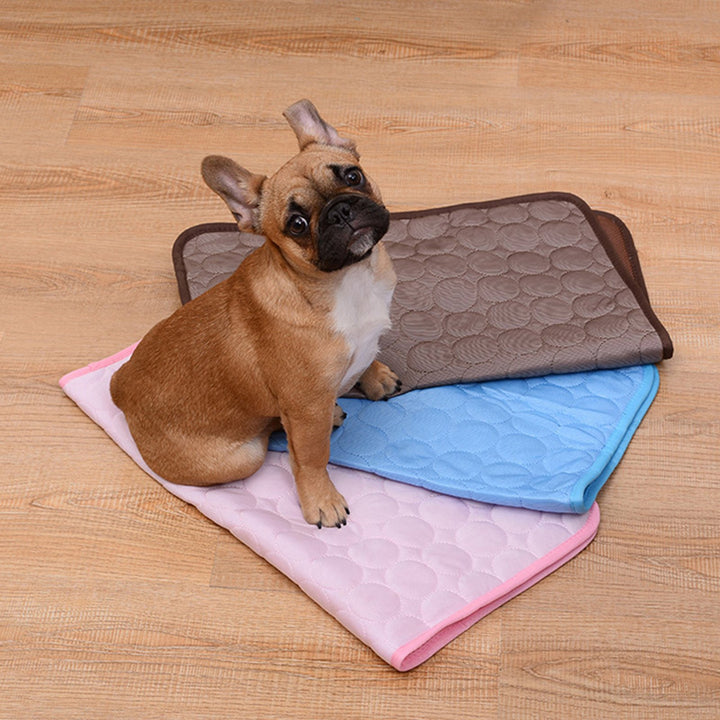 Pet Pad Cool Portable Removable Breathable Cool Pet Cushion for Dog Image 10