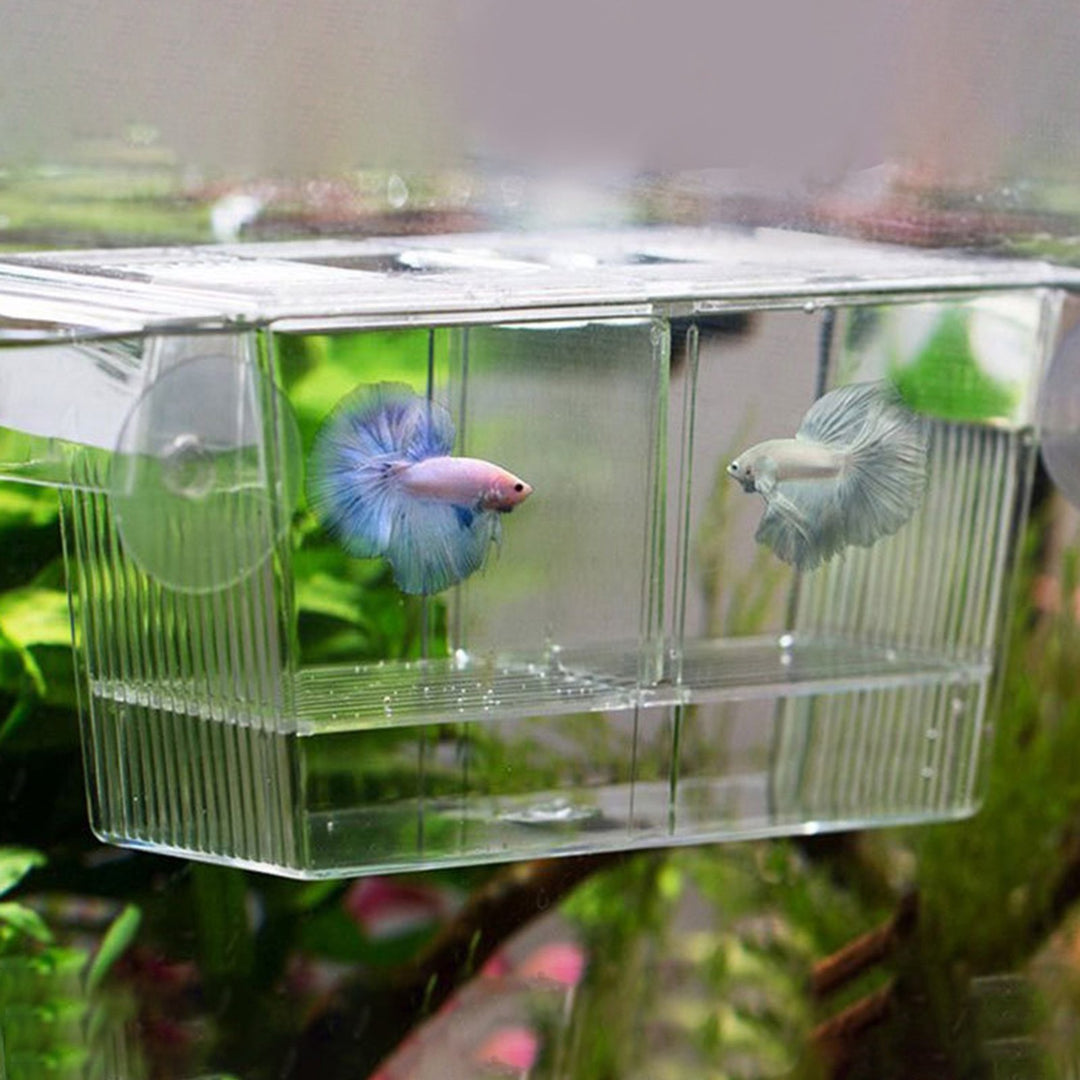 Aquarium Hatching Incubators Large Space Double Layer Transparent Plastic Fish Tank Breeding Isolation Box Aquarium Image 4