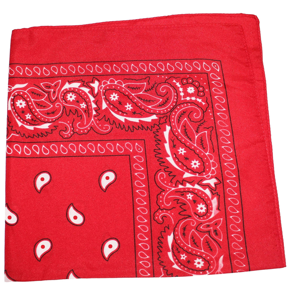 Pack of 10 Polyester 22 x 22 Inch Paisley Printed Bandanas Image 2