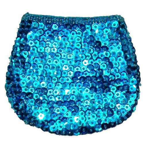 Sequin Coin Purse TURQUOISE  SP19 Image 1