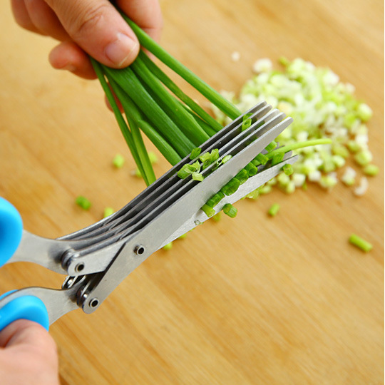Herb Scissors Multifunctional Kitchen Shear with 5 Blades and Cleaning Comb Color: Random Image 1