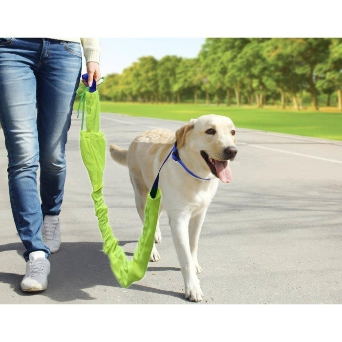 REFLECTIVE DOG LEASH SET Image 1