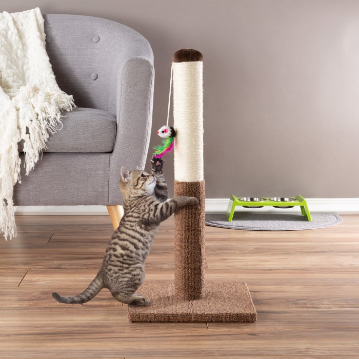 Tall Cat Scratching Post with Sisal Rope and Carpet Interactive Hanging Mouse Toy Image 1