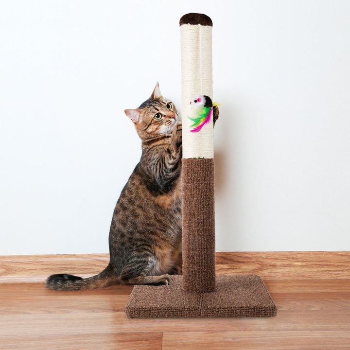 Tall Cat Scratching Post with Sisal Rope and Carpet Interactive Hanging Mouse Toy Image 6