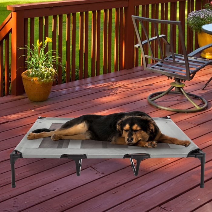 Elevated Gray Pet Bed-Portable Raised Cot Style Bed W/ Non-Slip Feet48x 35.5x 9 In Dogs Image 1