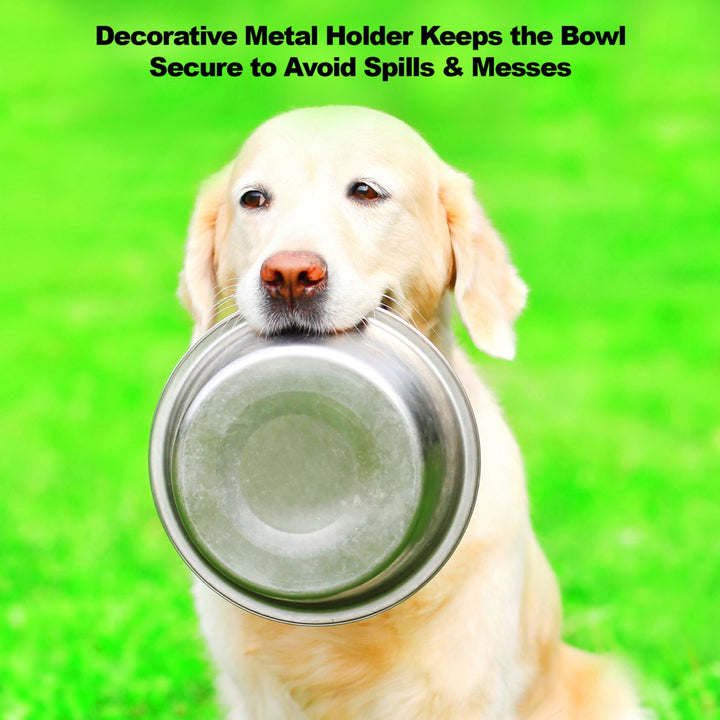 Stainless Steel Raised Dog Cat Bowls 40oz 6.5 Inch Stand Bone Decor 2 Pack Image 4