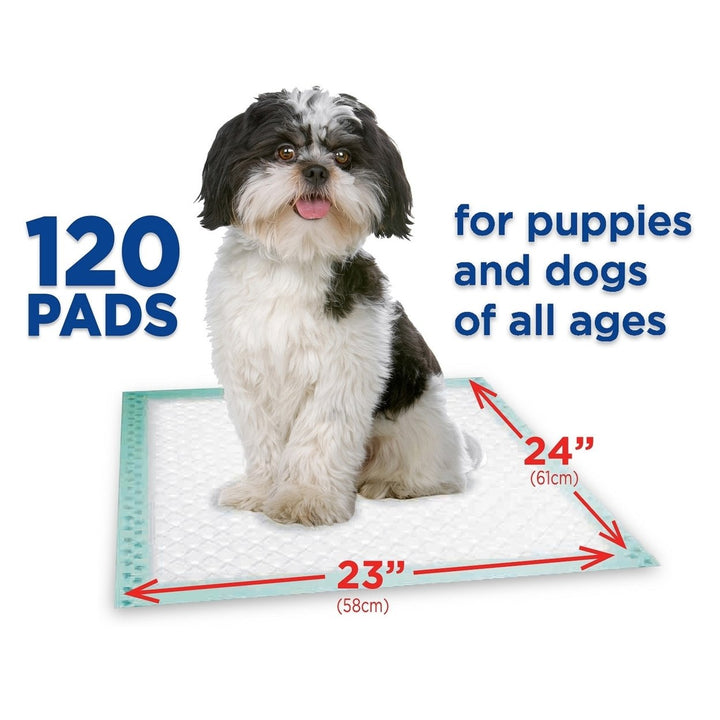 Members Mark Pet Training Pads 23" x 24" (120 Count) Image 4