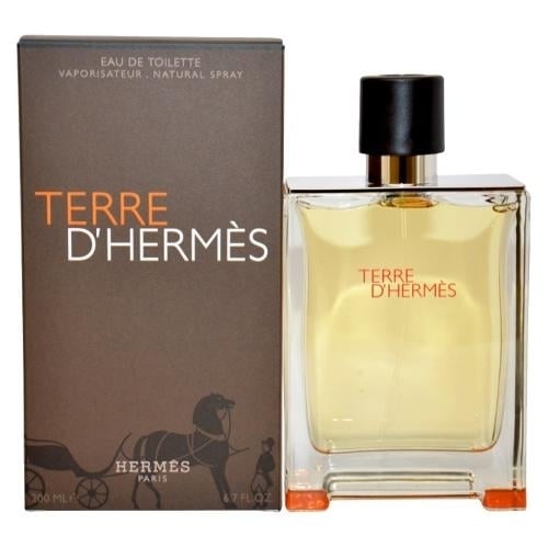 TERRE D(HERMES BY HERMES By HERMES For MEN Image 1