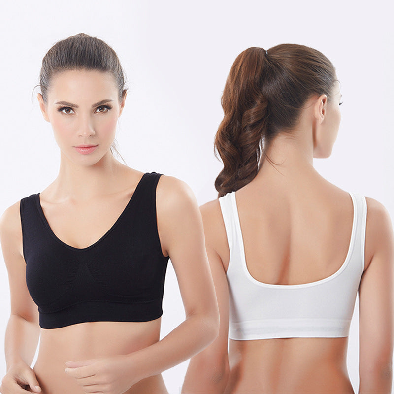 3Pcs Large Size Yoga Shockproof Sports Bra Image 1