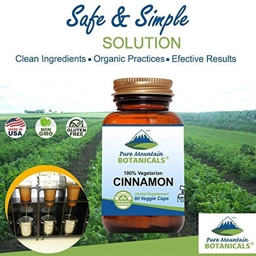 Cinnamon Capsules - 90 Kosher Vegan Pills Now with 900mg of Organic Cassia Cinammon Bark Image 8