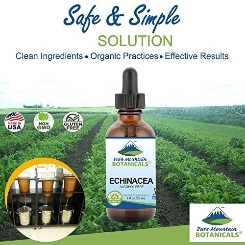 Liquid Echinacea Drops Kosher Echinacea Tincture Alcohol Free Extract - 500mg Organic Echinacea -1oz Bottle Image 3