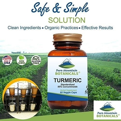 Turmeric Capsules with Black Pepper Extract 60 Kosher Vegan Caps 450mg Turmeric Root Image 9